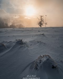 Mehr über den Artikel erfahren Schnee, Wind und Licht