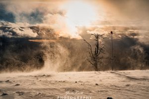 Mehr über den Artikel erfahren Schnee, Wind und Licht