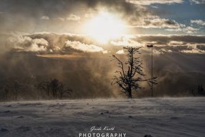 Mehr über den Artikel erfahren Schnee, Wind und Licht