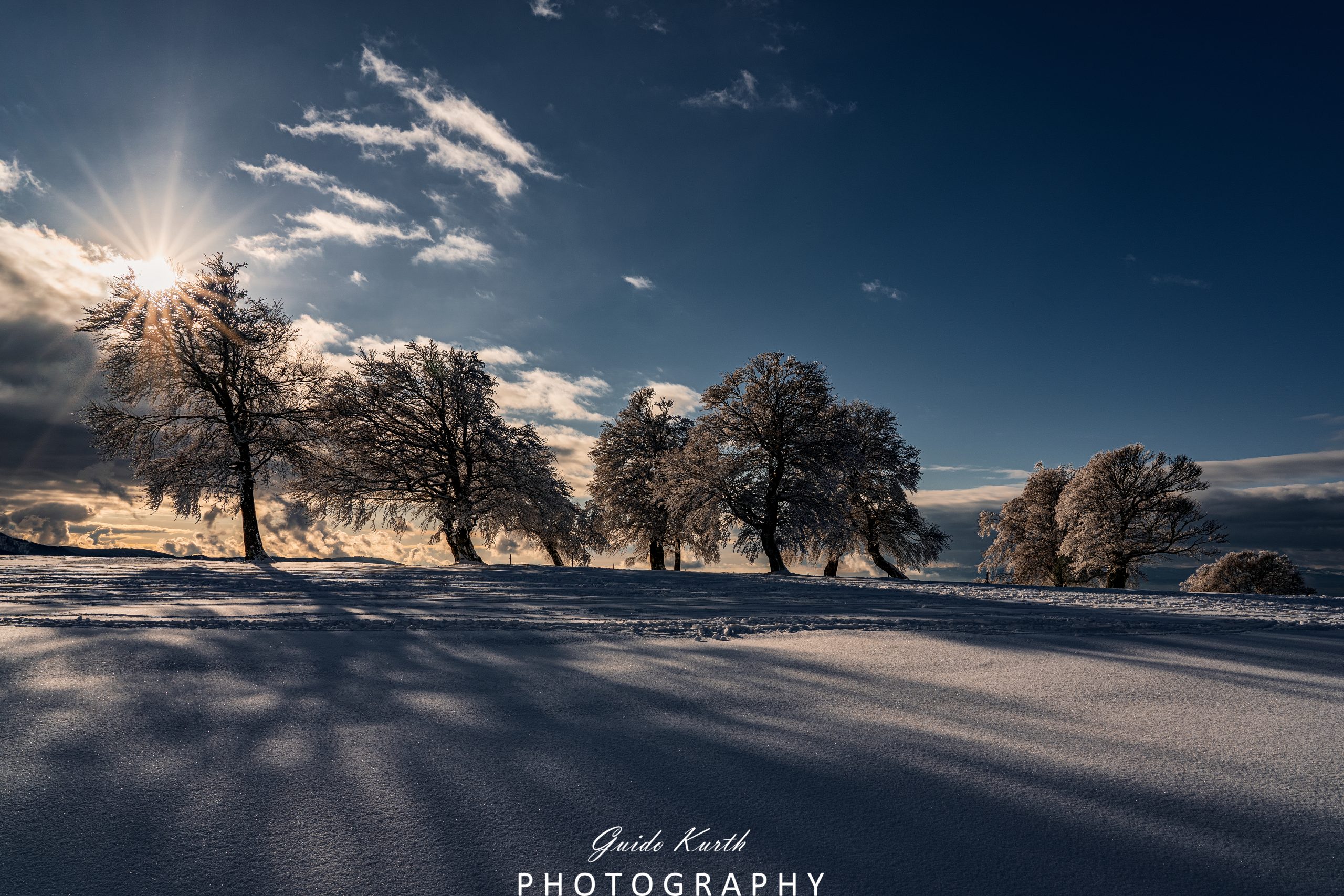 Du betrachtest gerade Sonnenstern und Windbuchen…
