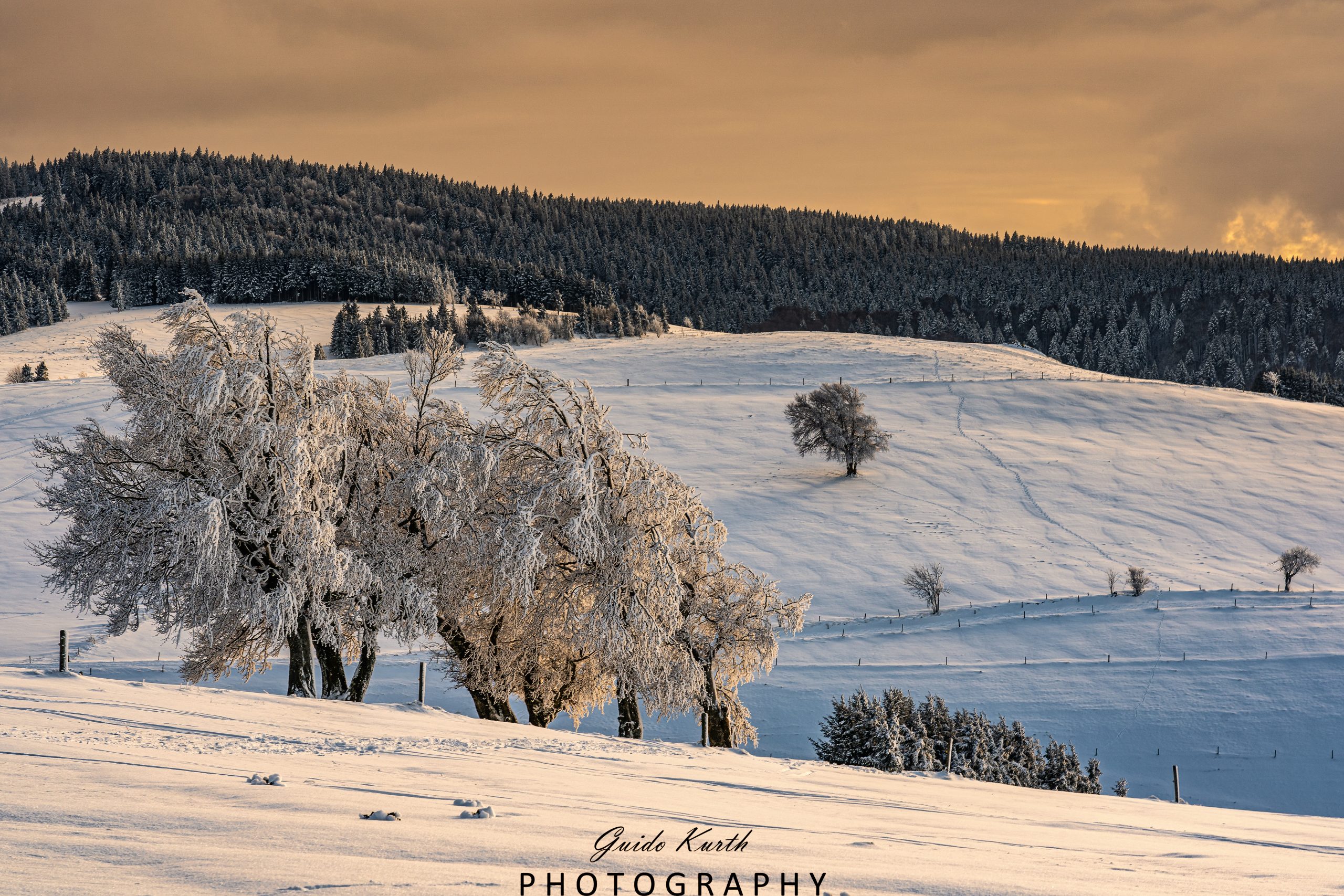 Du betrachtest gerade Warmes Abendlicht…