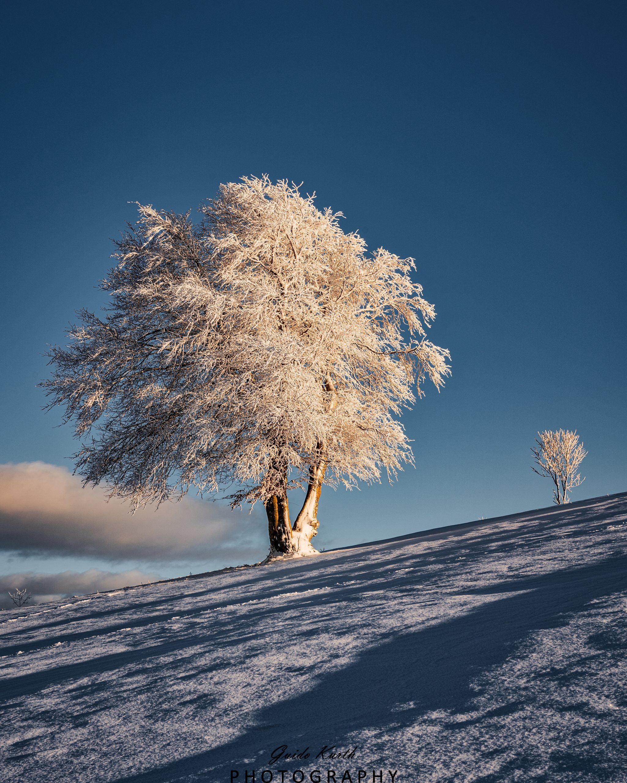 Du betrachtest gerade Lichtgestalt…