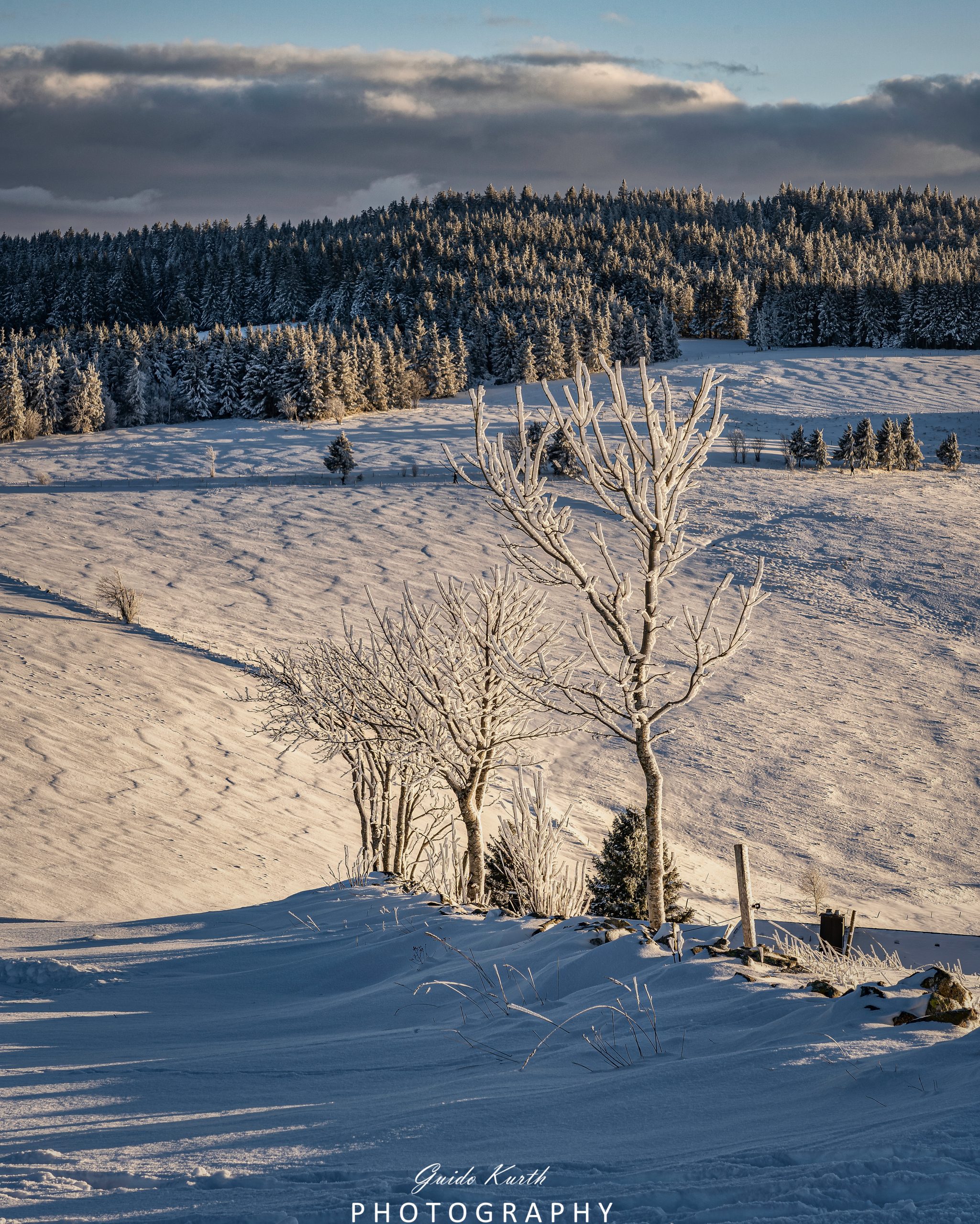 Du betrachtest gerade In Reihe und Glied…