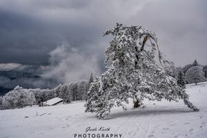 Mehr über den Artikel erfahren Winter Feeling