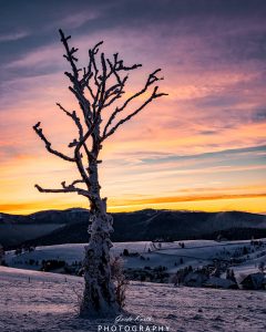 Mehr über den Artikel erfahren Winterlicher Morgen…