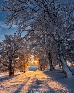 Mehr über den Artikel erfahren Winterlicher Morgen…