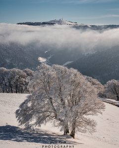 Mehr über den Artikel erfahren Feldbergblick…