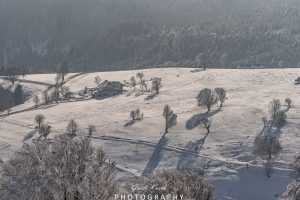 Mehr über den Artikel erfahren Bauernhof im Schnee…