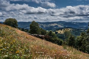 Mehr über den Artikel erfahren Am Fuße des Belchen…