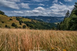 Mehr über den Artikel erfahren Am Fuße des Belchen…
