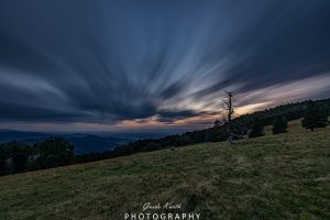 Mehr über den Artikel erfahren Wolkenzieher…