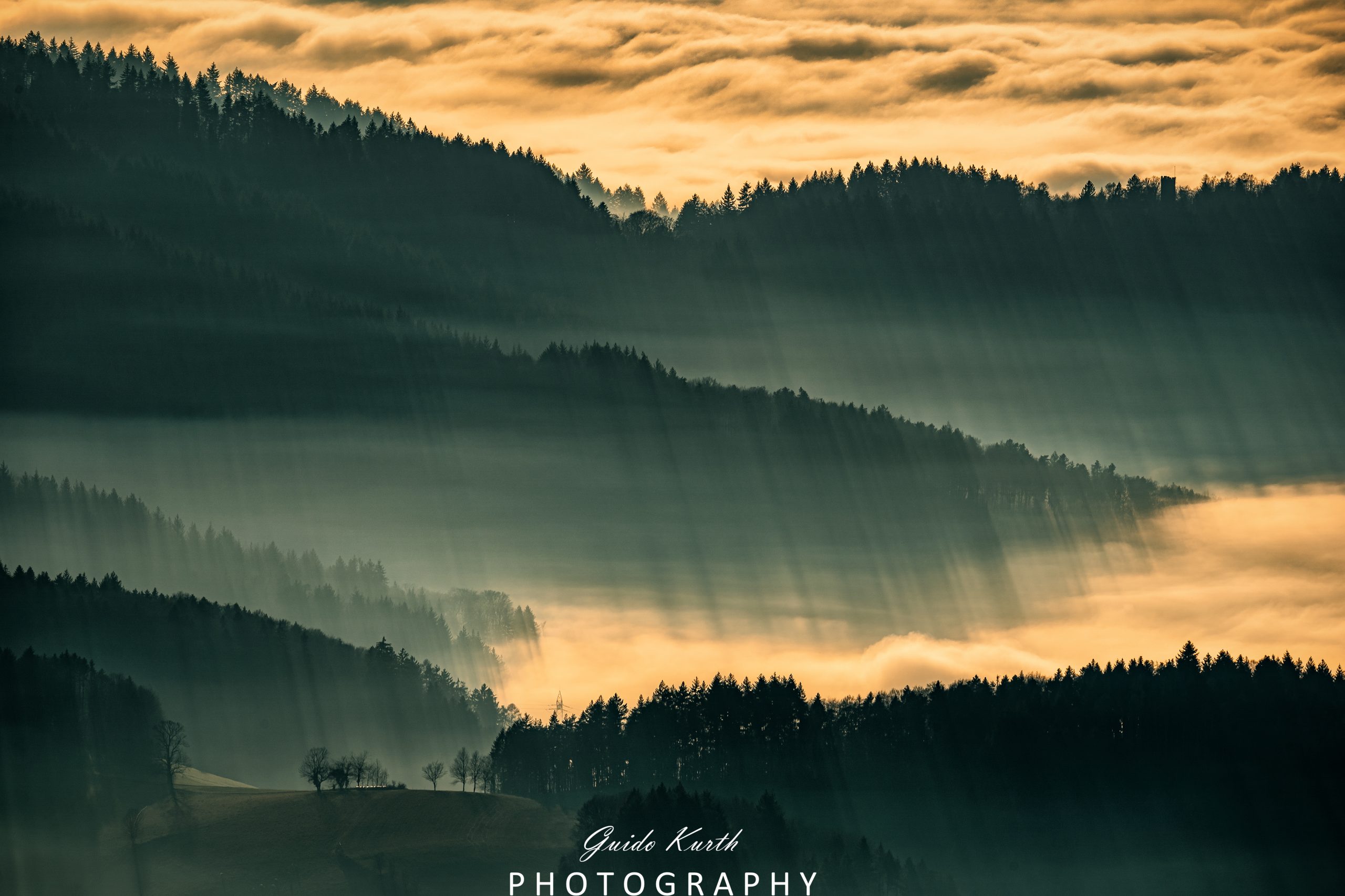 Du betrachtest gerade Nebelwelt