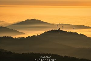 Mehr über den Artikel erfahren Nebelwelt