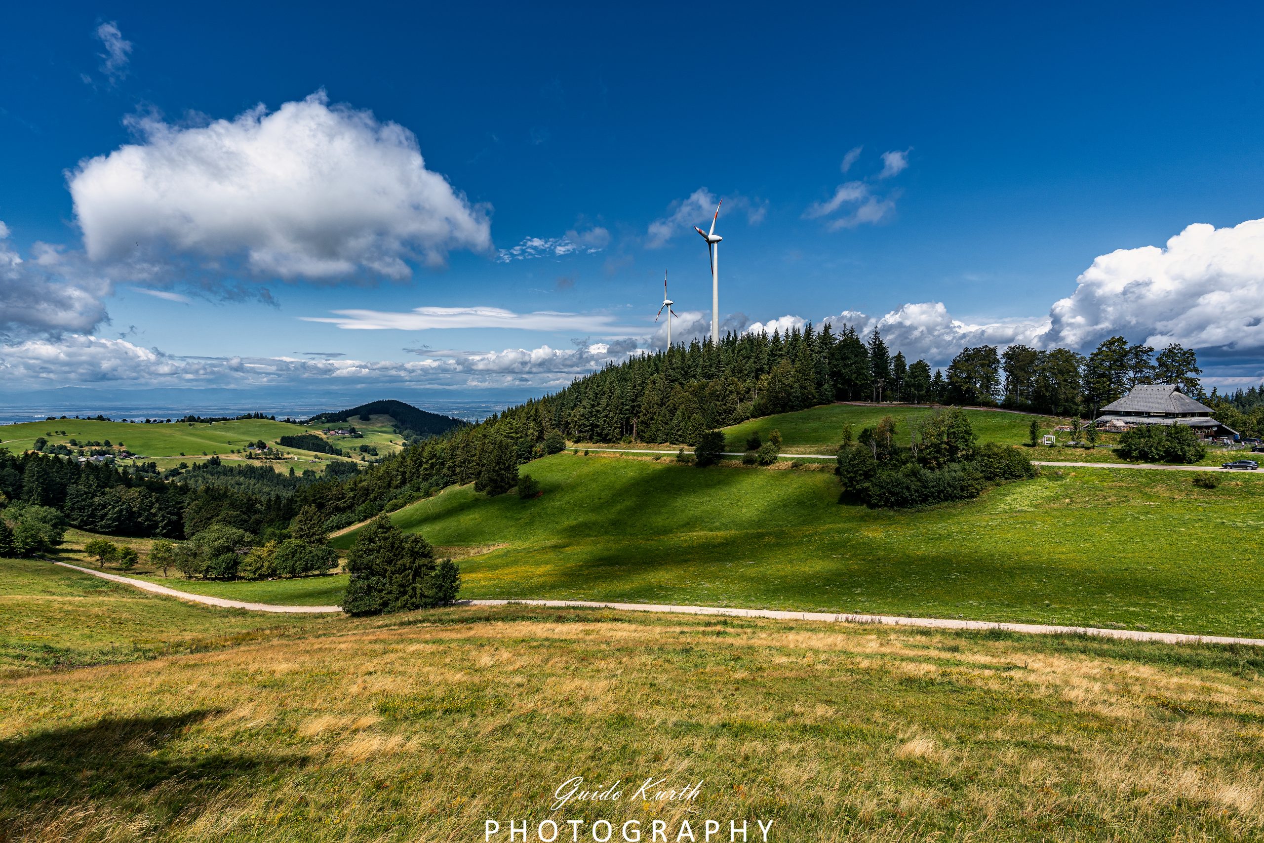 Du betrachtest gerade Holzschlägermatte…