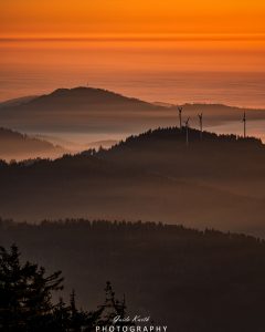 Mehr über den Artikel erfahren Nebelwelt