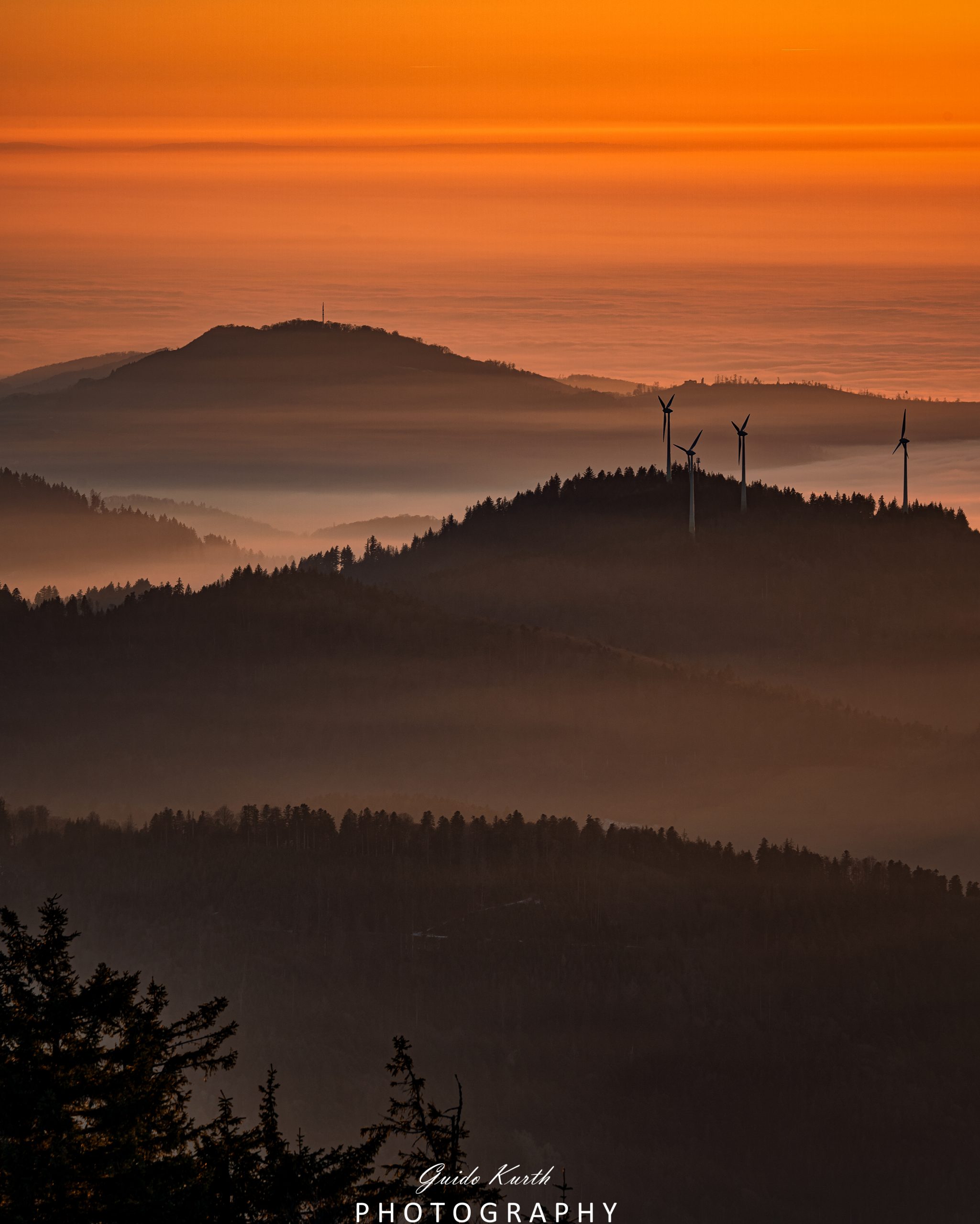 Du betrachtest gerade Nebelwelt