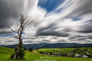 Mehr über den Artikel erfahren Wolkenzieher