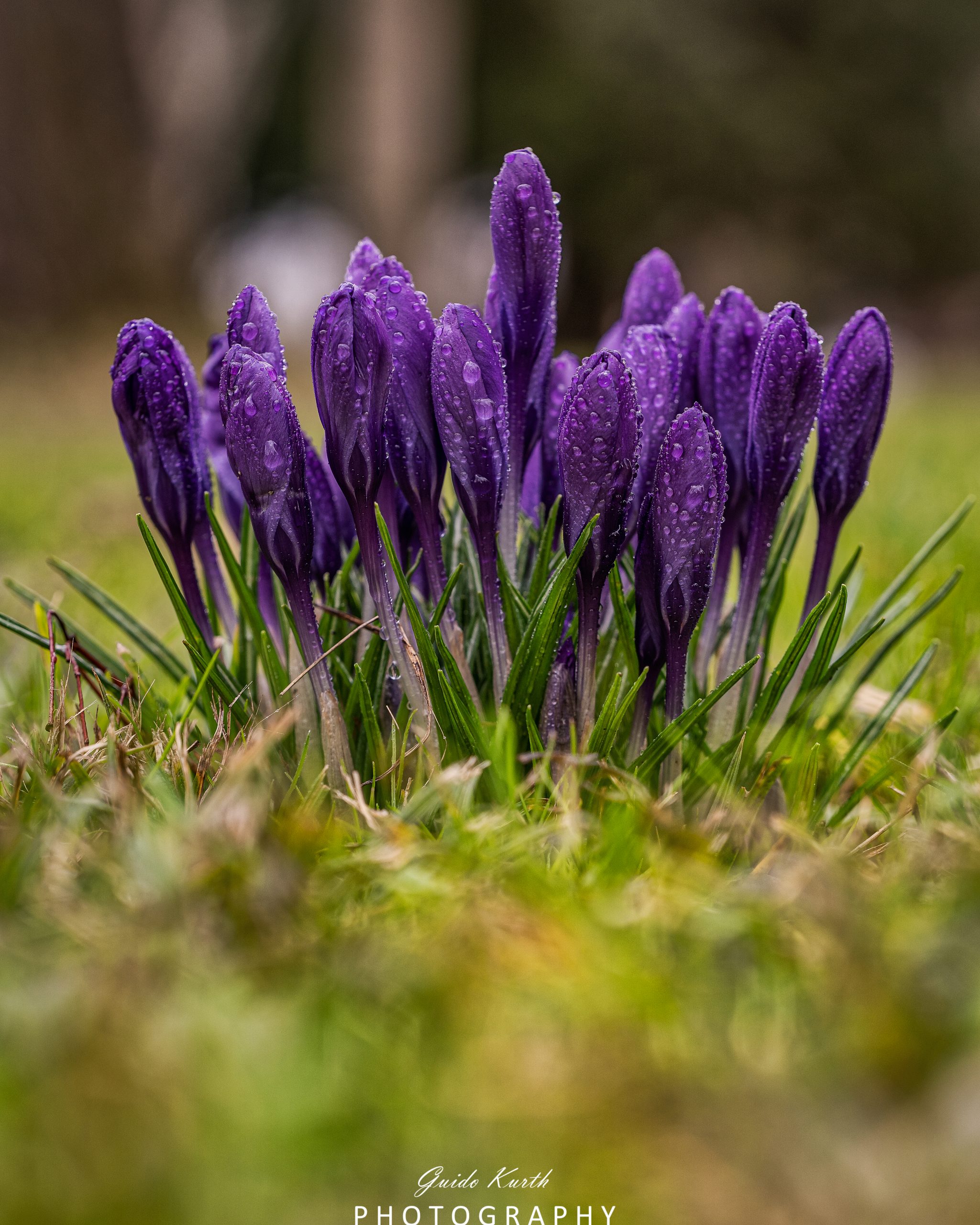 Mehr über den Artikel erfahren Frühlingserwachen
