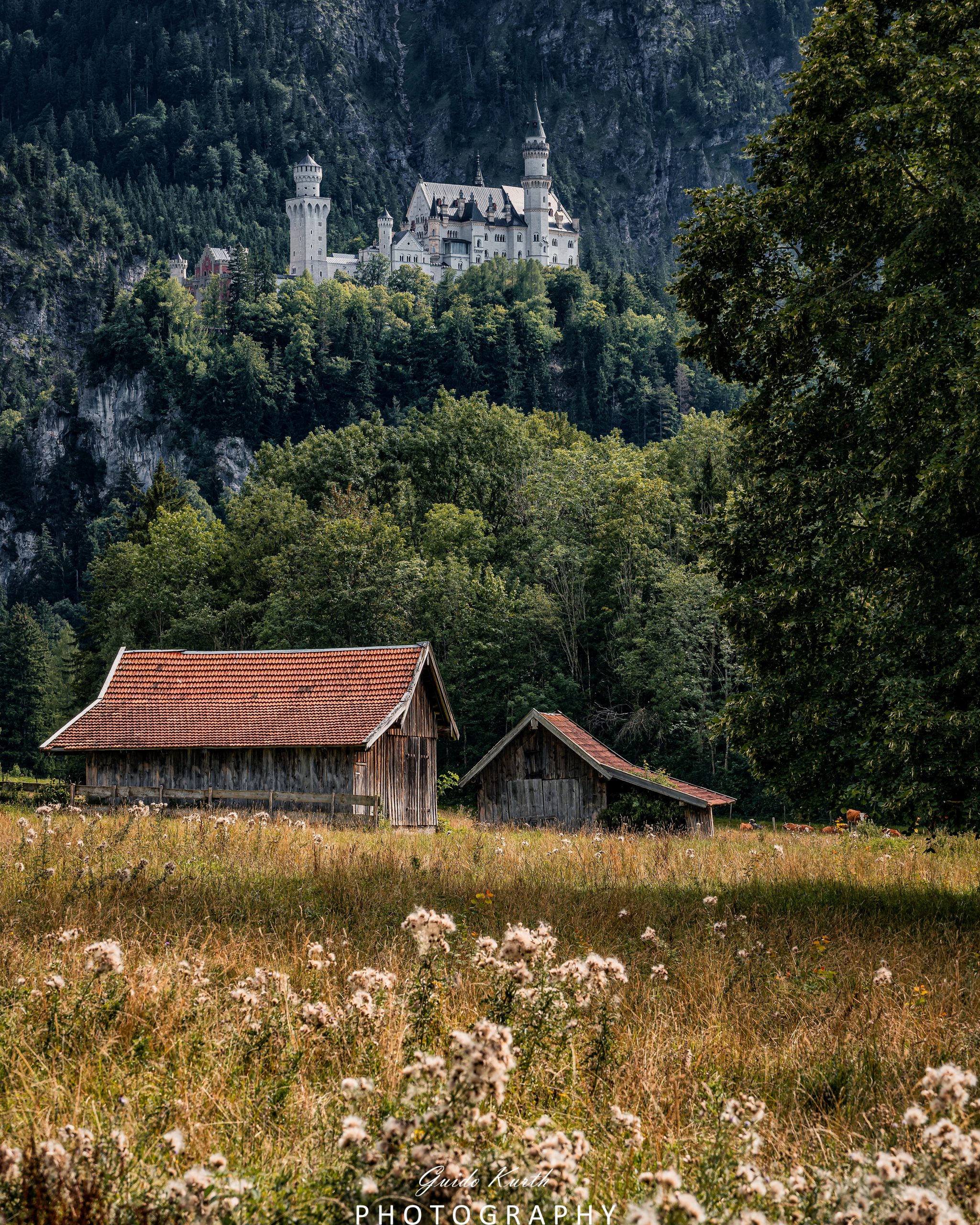 Du betrachtest gerade Das Märchenschloss…