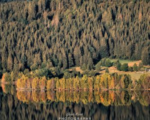 Mehr über den Artikel erfahren Spieglein, Spieglein…