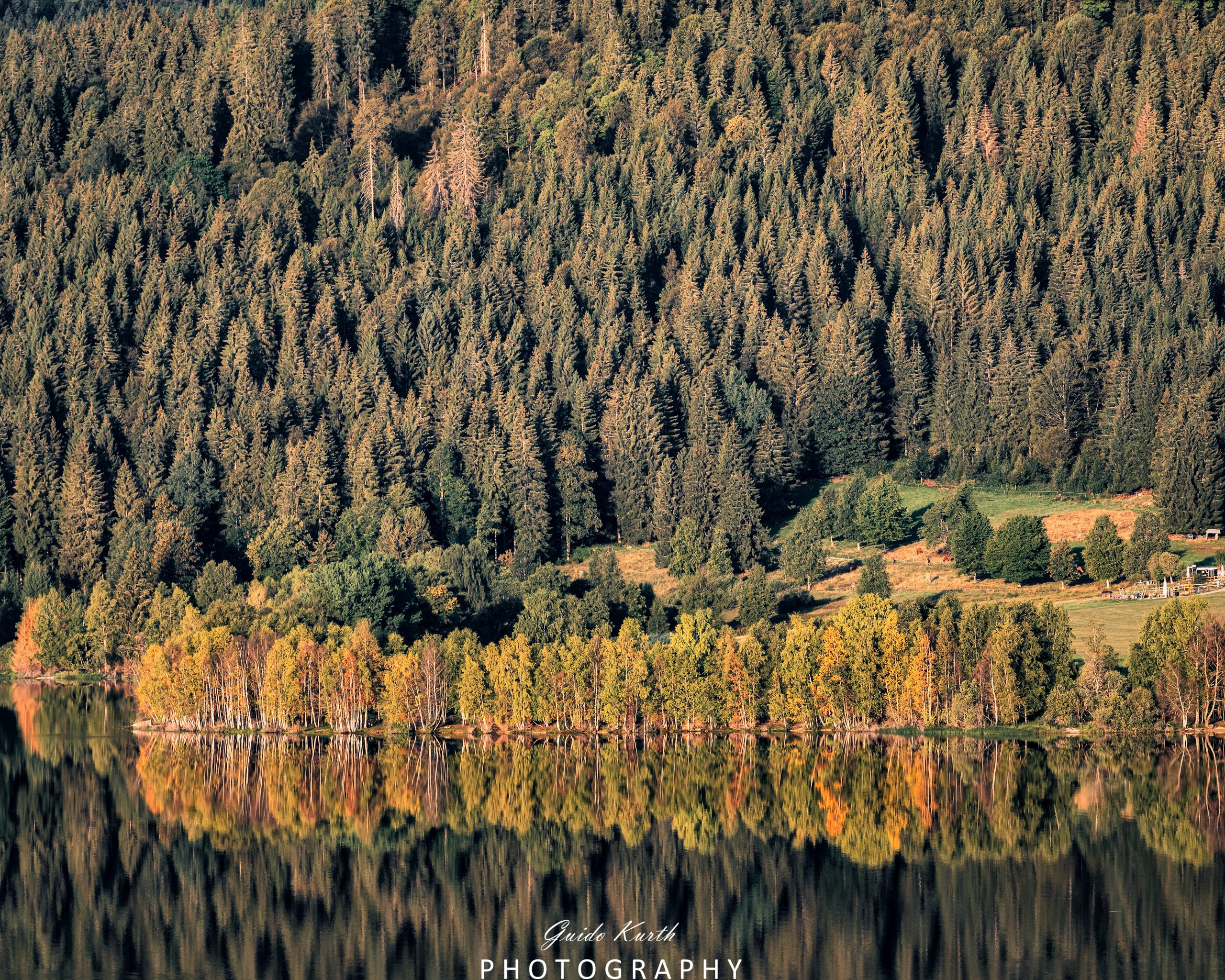 Du betrachtest gerade Spieglein, Spieglein…