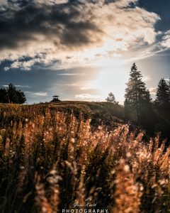 Mehr über den Artikel erfahren Spätsommerlicht…