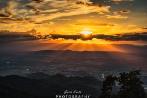 Mehr über den Artikel erfahren Momente wie diese….