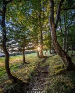 Mehr über den Artikel erfahren The sun always shines…