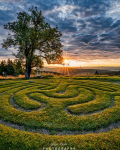 Mehr über den Artikel erfahren Muster Morgen…