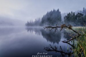 Mehr über den Artikel erfahren Nebelstimmung am See…