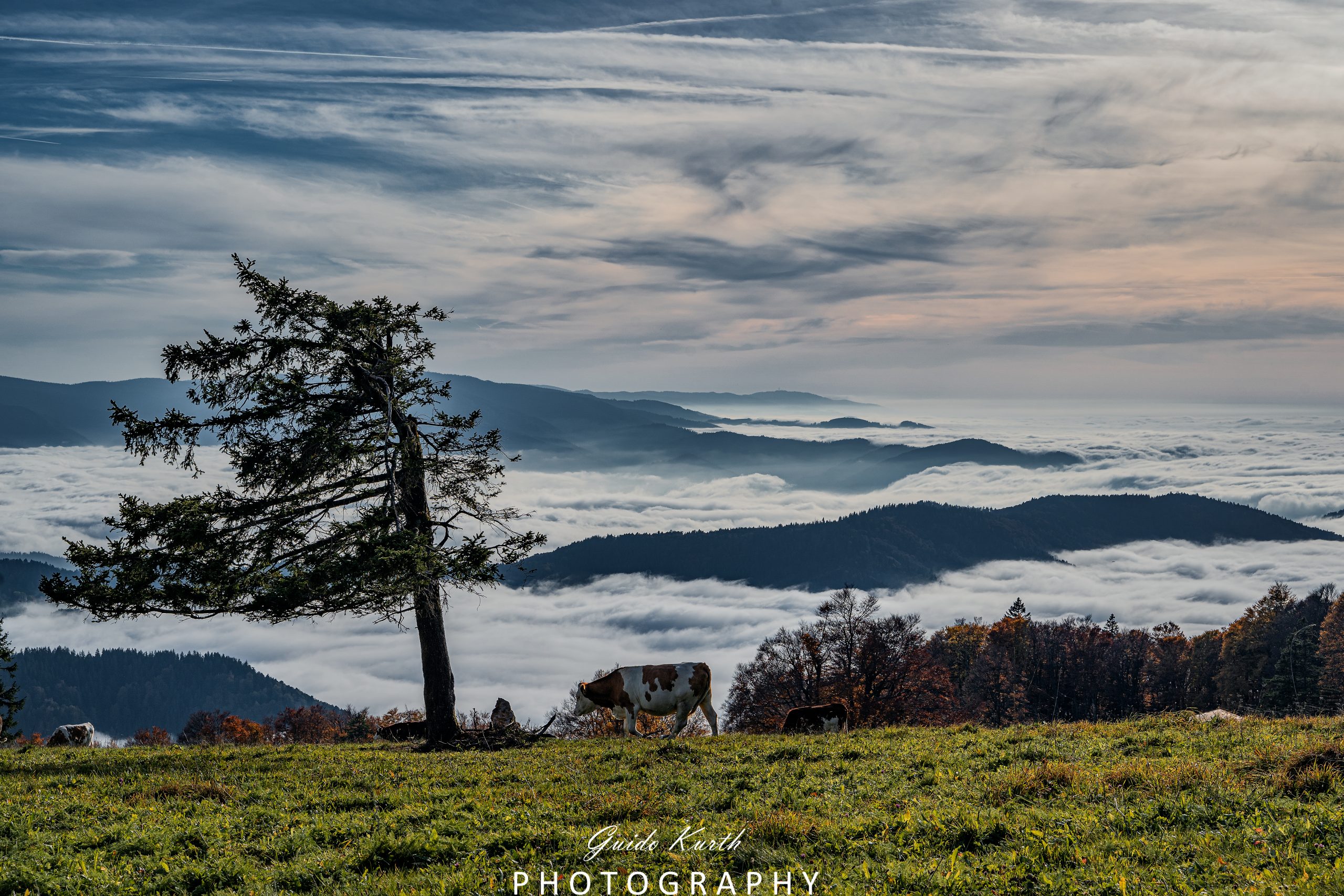 Du betrachtest gerade Nebel Glück…