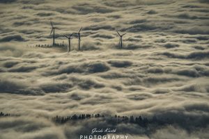 Mehr über den Artikel erfahren Nebel Glück…