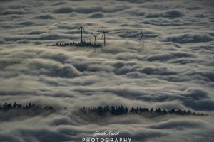 Mehr über den Artikel erfahren Nebel Glück…