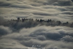 Mehr über den Artikel erfahren Nebel Glück…