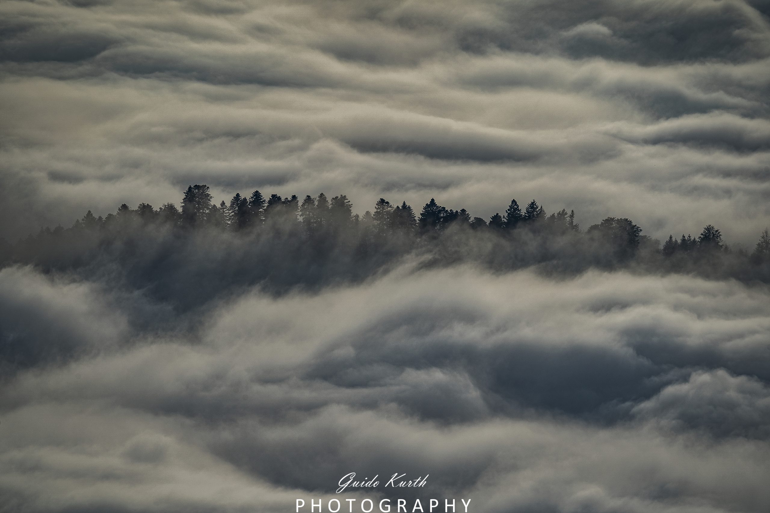 Du betrachtest gerade Nebel Glück…