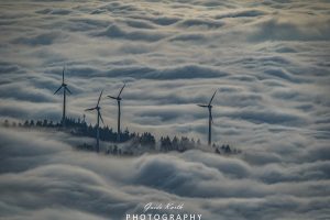 Mehr über den Artikel erfahren Nebel Glück…