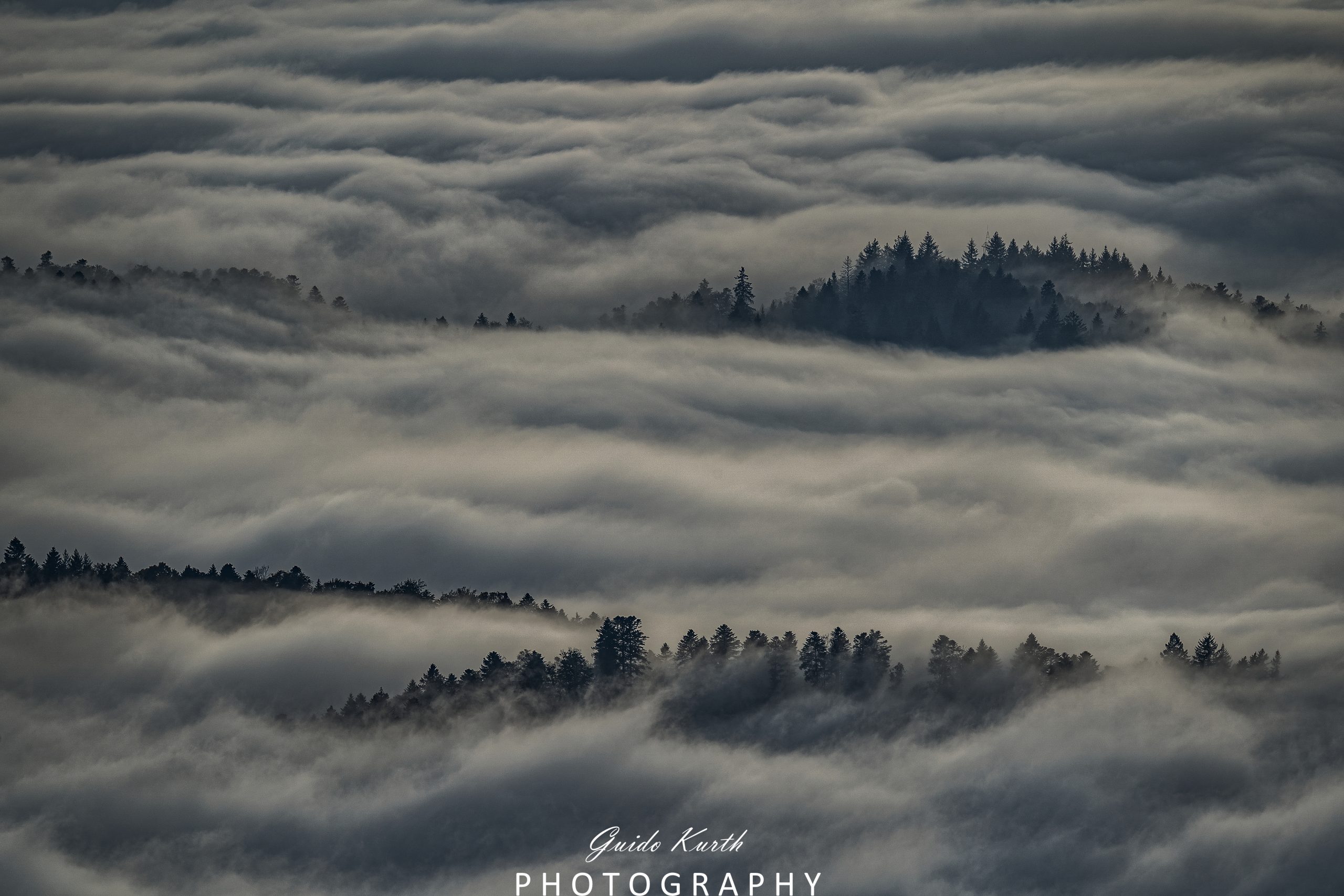 Du betrachtest gerade Nebel Glück…
