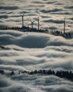 Mehr über den Artikel erfahren Nebel Glück…