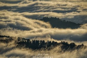 Mehr über den Artikel erfahren Nebel Glück…