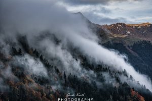 Mehr über den Artikel erfahren Nebel bei Kandersteg