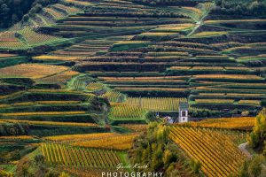 Mehr über den Artikel erfahren Herbstliche Eindrücke…