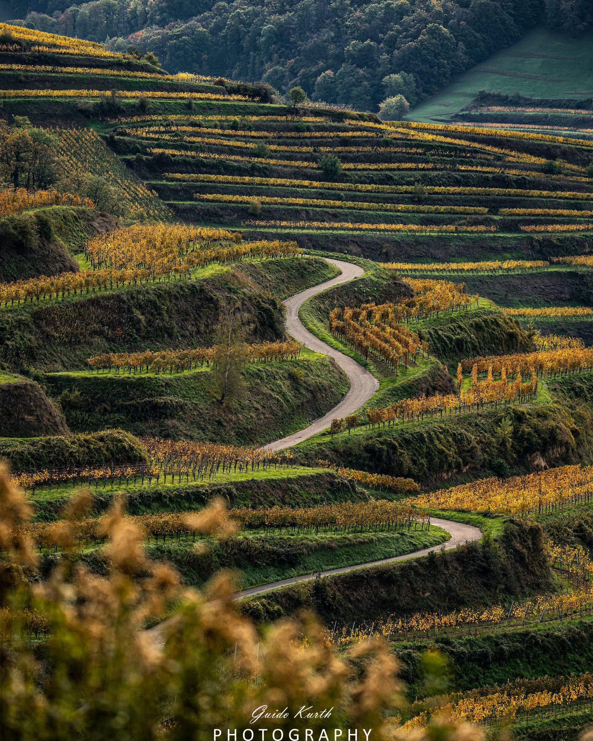 Du betrachtest gerade Herbstliche Eindrücke…