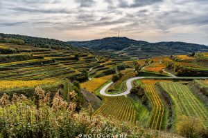 Mehr über den Artikel erfahren Herbstliche Eindrücke…