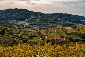Mehr über den Artikel erfahren Herbstliche Eindrücke…