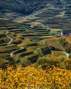 Mehr über den Artikel erfahren Herbstliche Eindrücke…