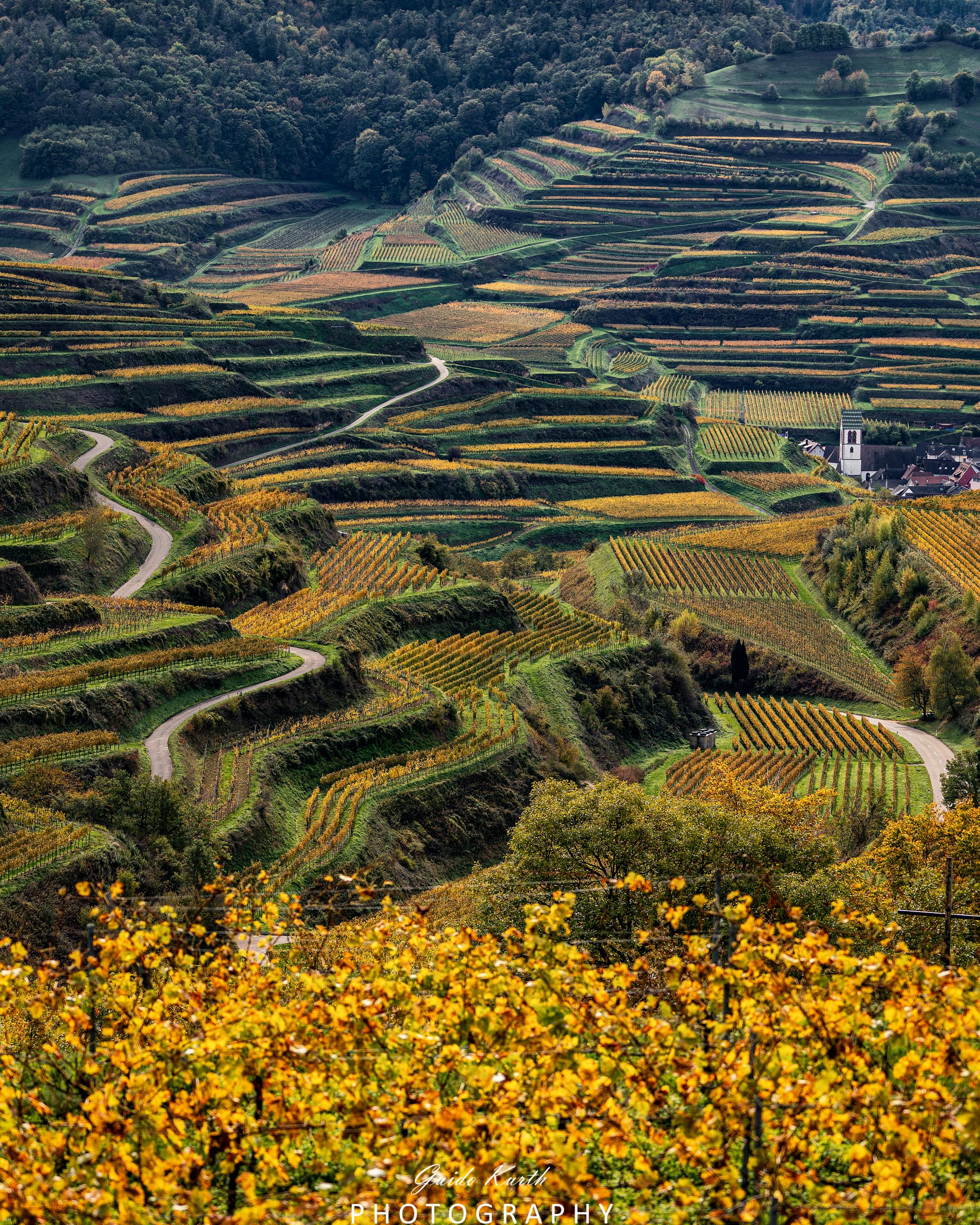 Du betrachtest gerade Herbstliche Eindrücke…