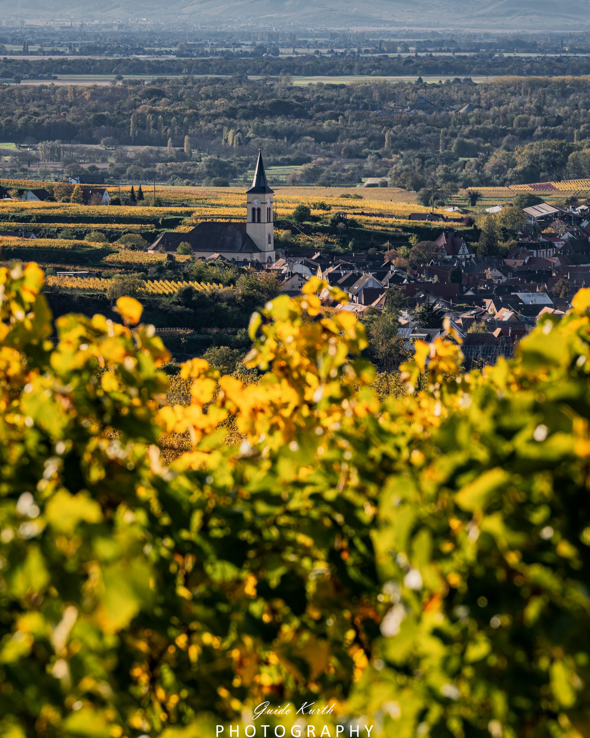 Mehr über den Artikel erfahren Oberrotweil…