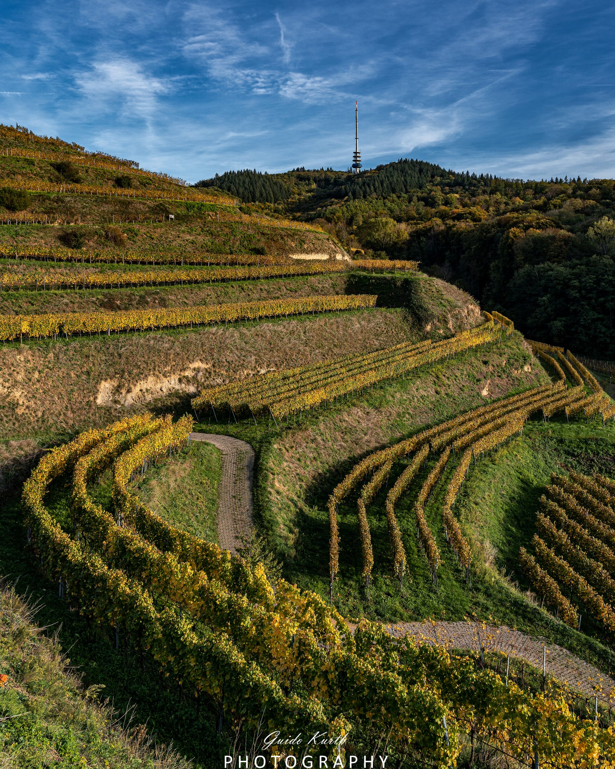 Mehr über den Artikel erfahren Herbst in den Reben…