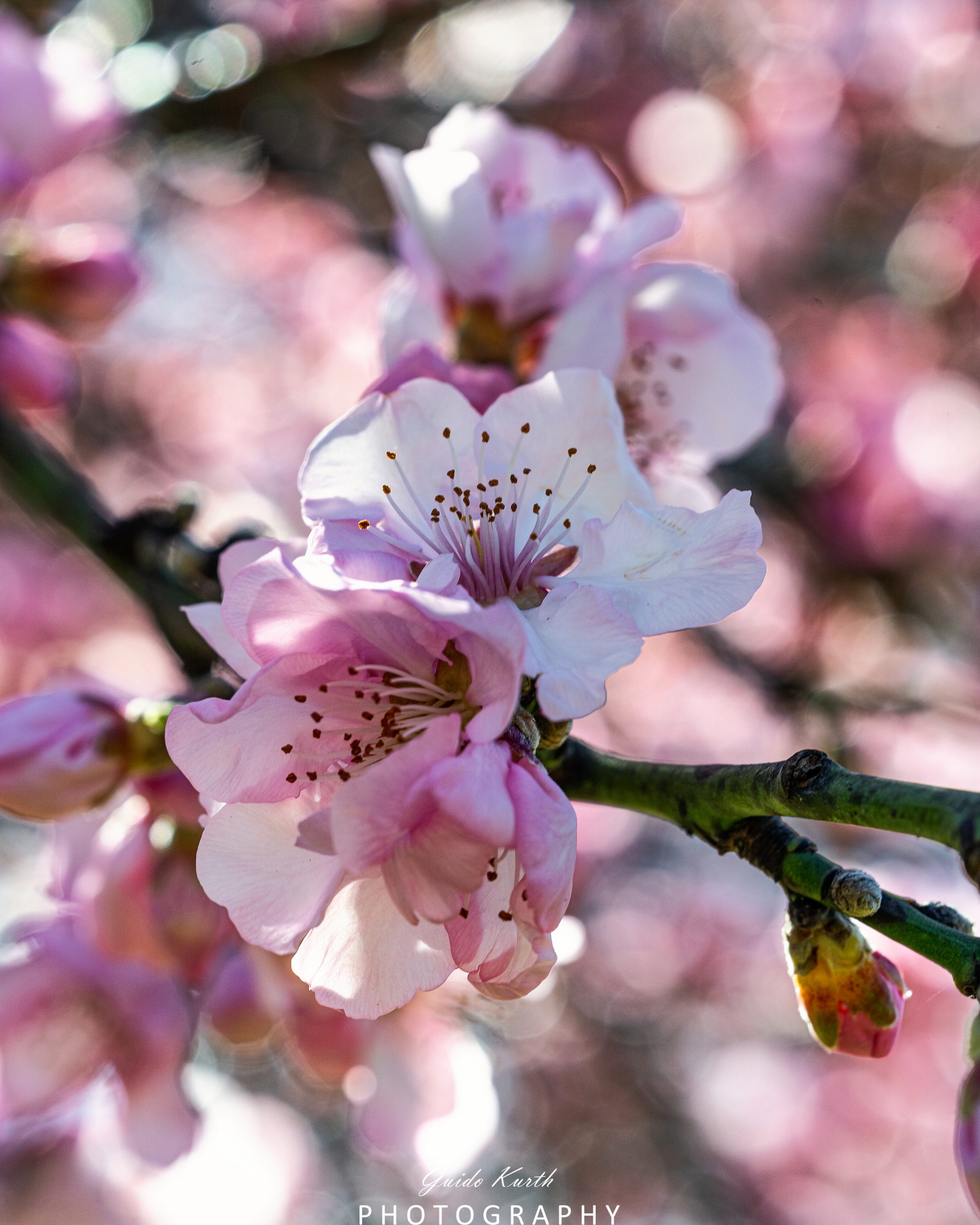 Mehr über den Artikel erfahren Frühlingserwachen