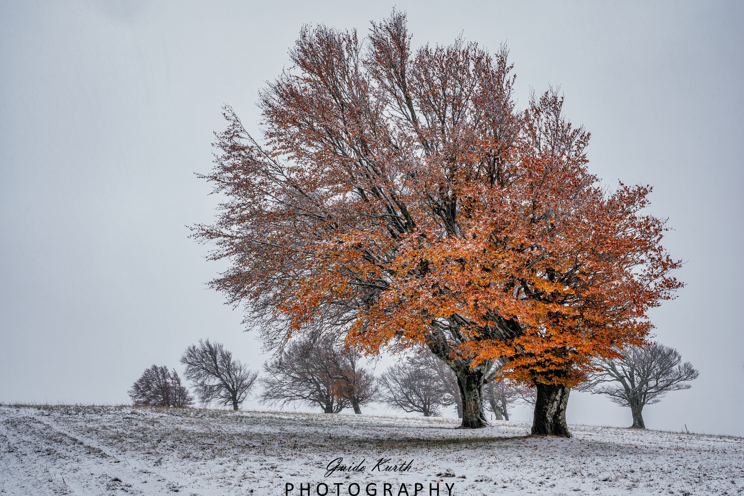 Du betrachtest gerade Herbst trifft Winter…